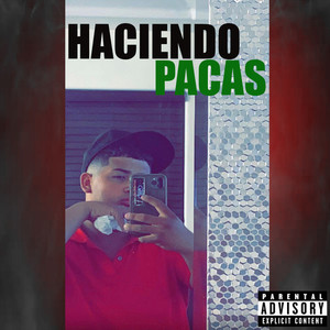 Haciendo Pacas