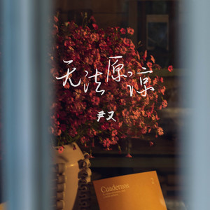 无法原谅 (DJ名龙版)封面