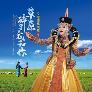 草原醉了我和你dj何鹏版