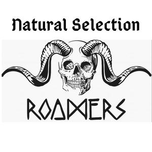 Natural Selection (EP 2023) [Explicit]