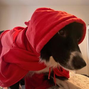 Balantajns (Explicit)