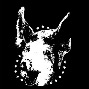 Country Club - A Mother a Son a Dog