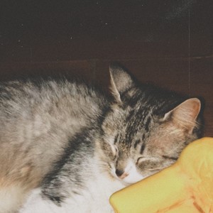 I miss u (Kitty Project)