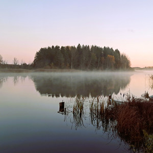 Peace in the Chaos - Aren't we all the same