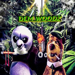 Dem Woodz (feat. BigKingFish) [Explicit]