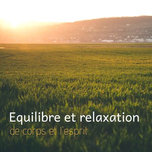 Equilibre et relaxation de corps et l'esprit - Musique apaisante pour dormir profondément