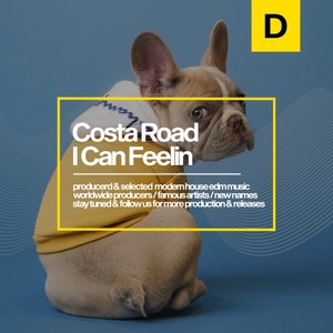 I Can Feelin (Original Mix)