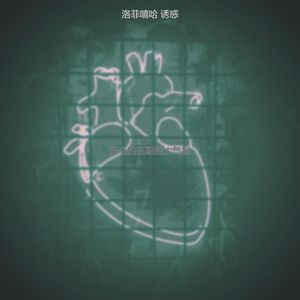 开心的在职的大气层