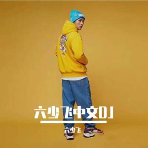 六少飞 - 扛过枪 放过羊 (DJ六少飞版)