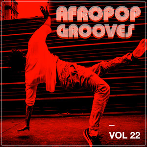 Afropop Grooves, Vol. 22