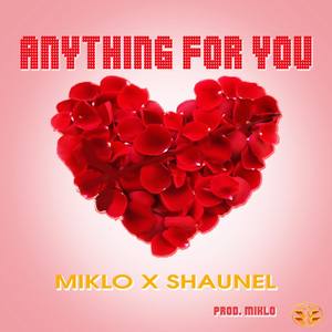 Anything for You (feat. Shaunel) [Radio Edit]