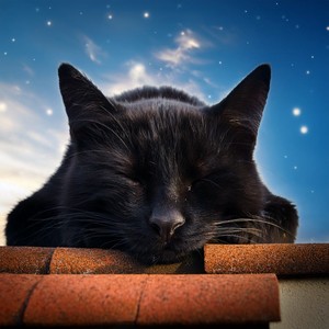 The Glow Of The Night Sky