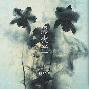 黑火兰花Elegie