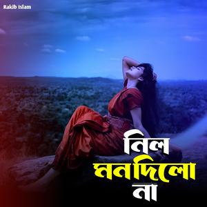 নিলো মন দিল না