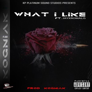 What I Like (feat. JayXRomalis) [Explicit]