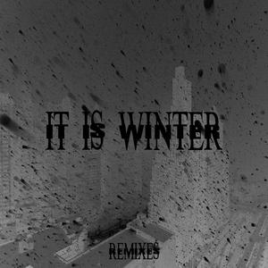 IT IS WINTER (Remixes)