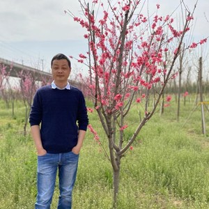 逃离这温暖的被窝