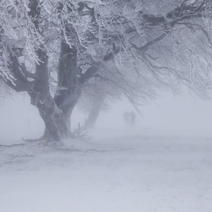 雪之音