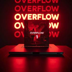 OVERFLOW 1- Ils ont pas compris