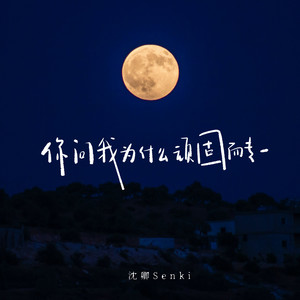 你问我为什么顽固而专一-沈卿Senki