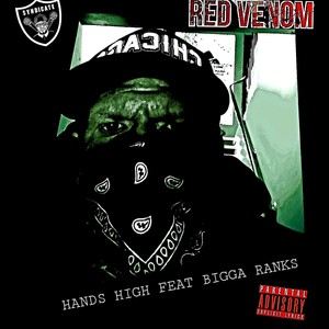 Hands High (feat. Bigga Ranks) [Explicit]