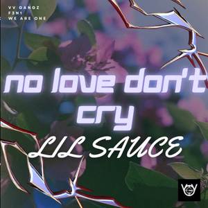 No love don't cry