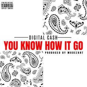 How It Go (Explicit)