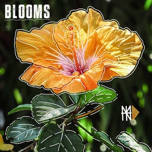 Blooms