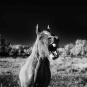 Whoa now. (feat. Emma B) (Explicit)