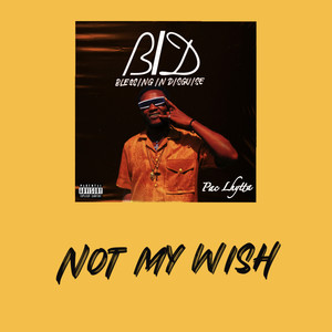 NOT MY WISH (Explicit)