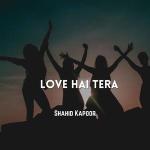 Love Hai Tera