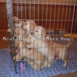 Mentally I Need More Dogs (feat. Zach Panthef)