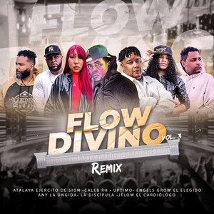 Flow Divino, Vol. 3 (Remix)