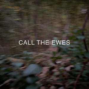 Call The Ewes