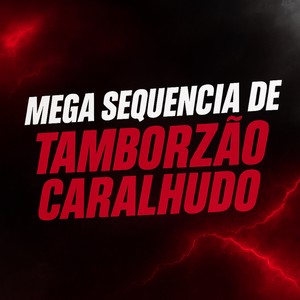 MEGA SEQUENCIA DE TAMBORZÃO CARALHUDO (Explicit)