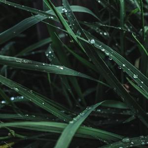 Отдохните от звука дождя, чтобы быстро заснуть