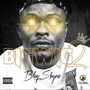 Bigwig Vol2 (Explicit)