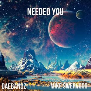 Needed You (feat. Mike Swervooo)