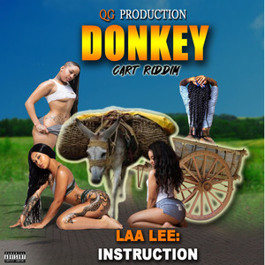 Instruction (Explicit)