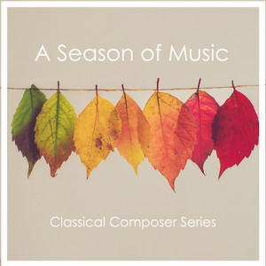 Sonata No. 1 For Violin And Piano In A Minor, Op. 105 - 1. Mit leidenschaftlichem Ausdruck