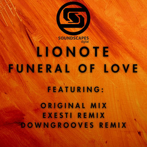Funeral of Love (Downgrooves Remix)