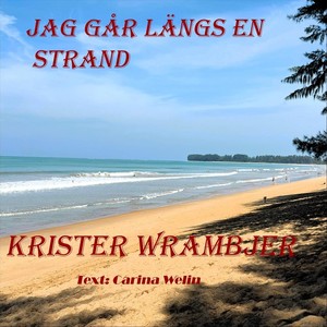 Jag går längs en strand