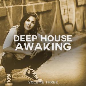 Deep House Awaking, Vol. 3 (Selection Of Finest In Modern Deep House Sound)