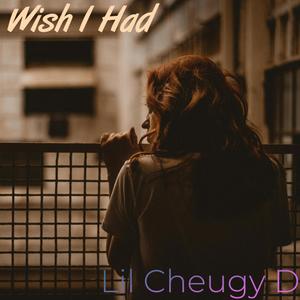 Wish I Had (feat. Zach Alwin)