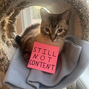 rabbit hole iceberg (feat. Rhys Langston)