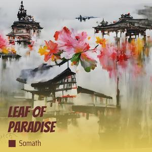 Leaf Of Paradise