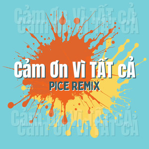 Cảm Ơn Vì Tất Cả (Pice Remix)