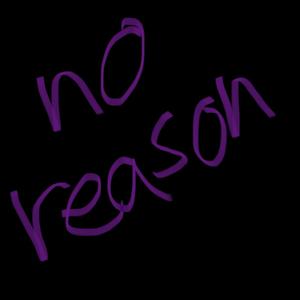 NO REASON(feat. FishMizzles) (Explicit)
