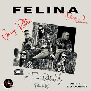 Felina (feat. Jey Cy & Dj Dobry) [Explicit]