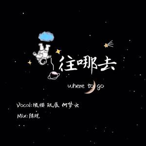 往哪去